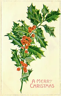 Sprig: A sprig of holly with berries