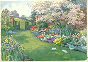 Ashburner: A spring border