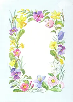 Primroses: Spring Border with Daffodils, Primroses etc