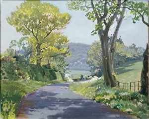 Fripp: Spring at Bryn Myrddin