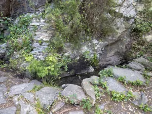 Remembrance: Spring, Chemin Walter Benjamin, Banyuls, Pyrenees-Orientales
