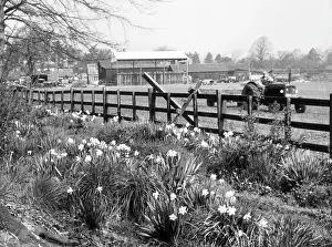 Skirting: SPRING FARMING SCENE
