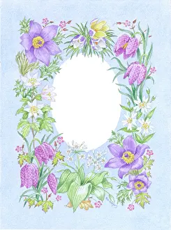 Crocus: Spring Floral Border