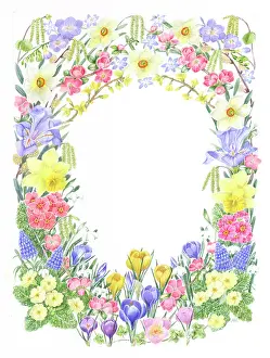 Primroses: Spring flower oval border