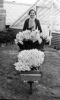 Spring flowers 1934