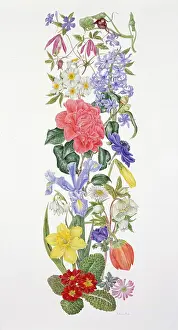 Camellia: Spring Flowers