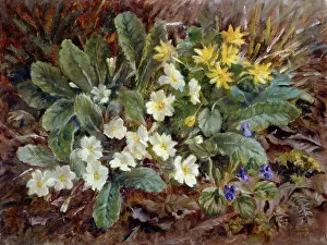 Patches: Spring Flowers