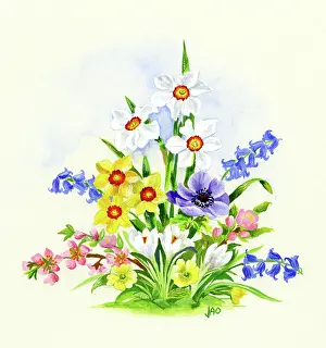 Almond: Spring Flowers