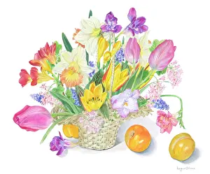 Hyacinths: Spring flowers in a basket