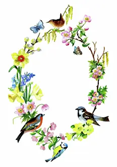 Hazel: Spring flowers, birds and butterflies