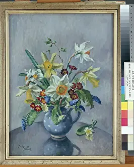 Primulas: Spring Flowers in a Blue Jug