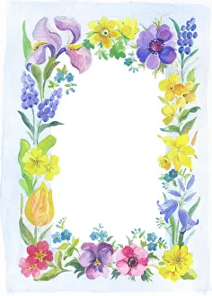 Primroses: Spring Flowers Border - pansies, tulips, daffodils