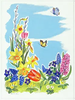 Caley: Spring Flowers and Butterflies - daffodils, tulips, hyacinth