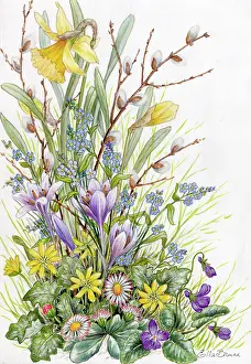 Nots: Spring Flowers (dafodills, crocuses, forget-me-nots etc)