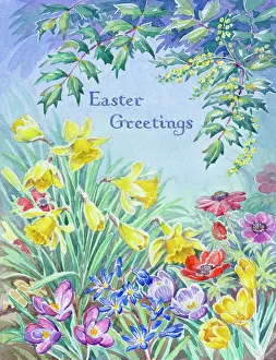 Crocus: Spring Flowers including daffodils, crocus, scilla