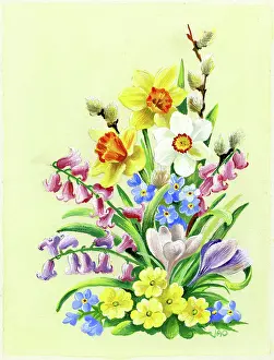 Ockenden: Spring flowers including daffodils and primroses