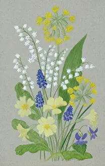 Buckland: Spring Flowers ? Lily of the Valley, Grape Hyacinth, Primro