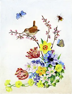 Ockenden: Spring flowers with wren, butterflies and bee
