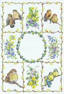 Pussy: Spring Flowers and Young Birds - composite
