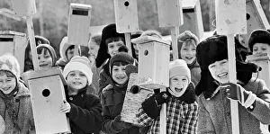 Prepared: Spring holiday of birds meeting