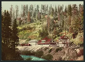 Shasta: Spring House, Shasta Springs, Cal