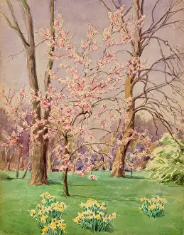 Spring at Kew