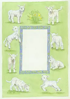 Beattie: Spring Lambs border design
