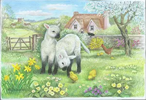 Babington: Two Spring lambs in a field