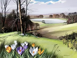 Shannon: Spring Landscape