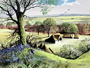 Shannon: Spring Landscape
