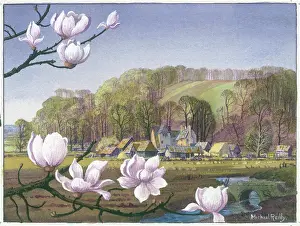 Spring landscape with magnolias