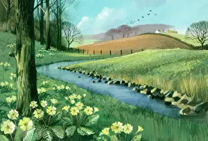 Shannon: Spring Landscape with Primroses