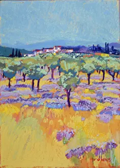 Almond: Spring Morning, Mallorca