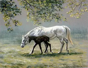 Browning: Spring Morning ' mare and foal
