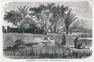 Isthmus: SPRING OF MOSES, EGYPT