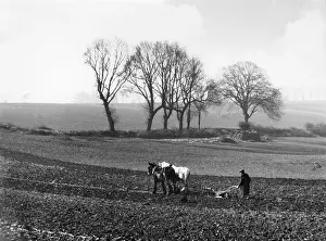 Tidmarsh: SPRING PLOUGHING 1938