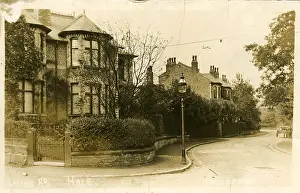 Hale: Spring Road