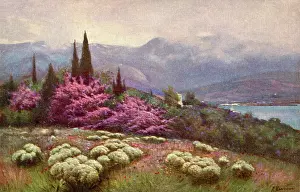 Iosif: Spring scene in the Crimea, Russia