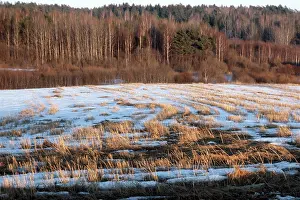 Mikhailovskoye: Spring scenery, 1986