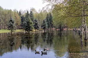 Leningradsky: Spring scenery, 1987