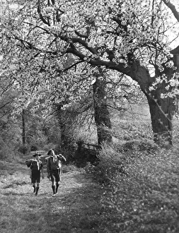 Amersham: SPRING SCOUTS