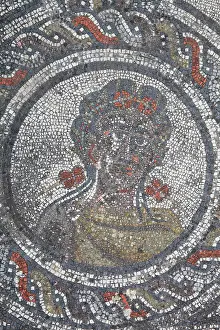 Interlacing: Spring, Four Seasons mosaic, House of Dionysos
