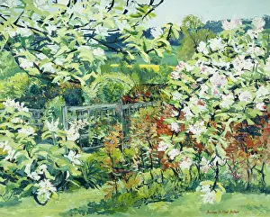 Clair: Spring Study ' a garden