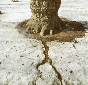 Kolomenskoye: Spring Thaw photo art work, 1993