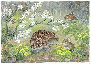 Medici Society (molly Brett): Spring Time Greeting - hedgehog, mouse, primroses etc