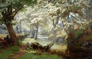 Farquharson: Spring in the Trossachs