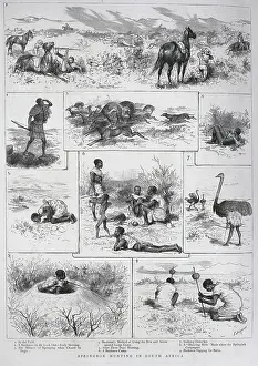 Bushmen: Springbok Hunting, South Africa