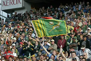 Springboks: Springboks playing in a packed rugby stadium