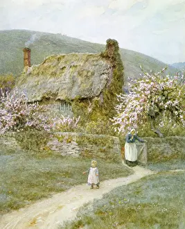 Allingham: Springtime ' cottage & trees in blossom