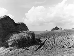 Furrows: SPRINGTIME FURROWS
